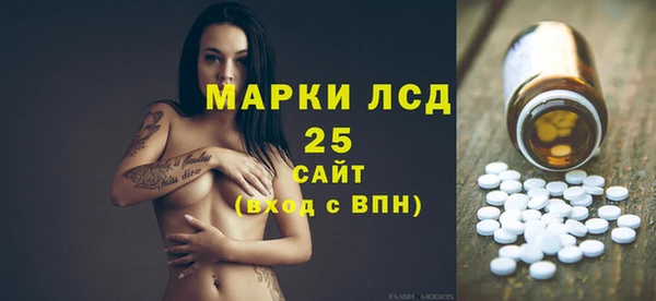 ПСИЛОЦИБИНОВЫЕ ГРИБЫ Вязьма