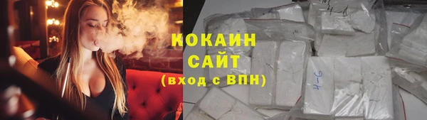 ПСИЛОЦИБИНОВЫЕ ГРИБЫ Вязьма
