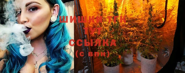 ПСИЛОЦИБИНОВЫЕ ГРИБЫ Вязьма