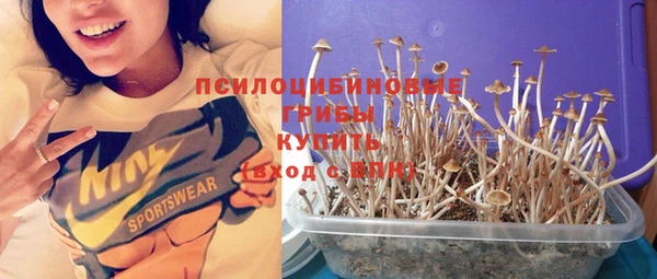 ПСИЛОЦИБИНОВЫЕ ГРИБЫ Вязьма