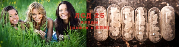 ПСИЛОЦИБИНОВЫЕ ГРИБЫ Вязьма
