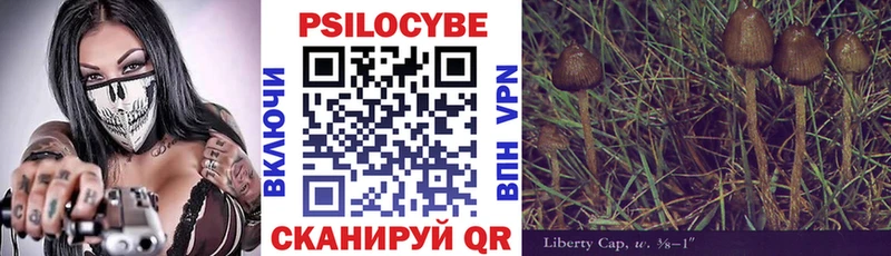 Псилоцибиновые грибы GOLDEN TEACHER  Зеленогорск 